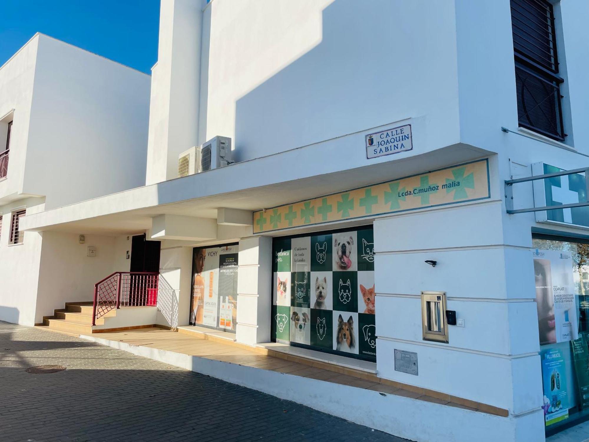 شقة Atico Premium Conil Con 2 Terrazas, Parking, Piscina, Aire Ac Y Wifi -Solo Familias Y Parejas- كونيل ذي لا فرونتيرا المظهر الخارجي الصورة